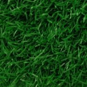 Artificial Grass